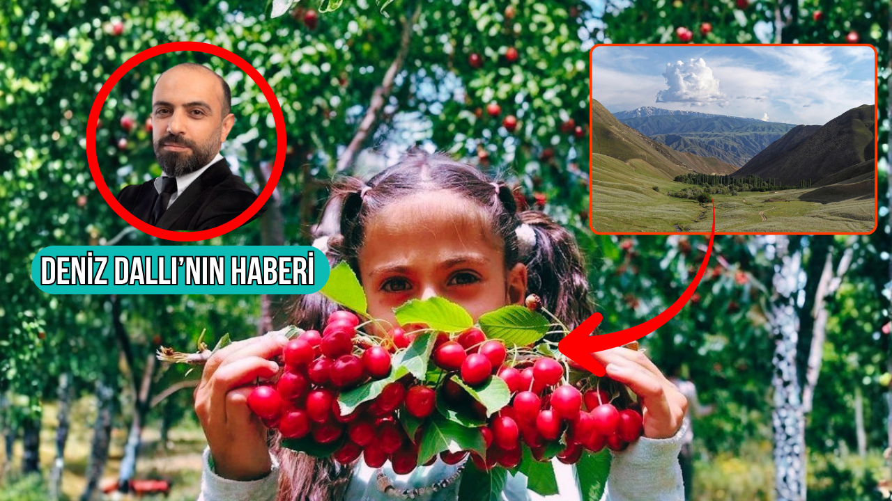 Ozbekistanin fergana vadisinde ilk kez turkiyeden ihrac edilen seftali kiraz kayisi ve erigin hasadi pCkwDCpT